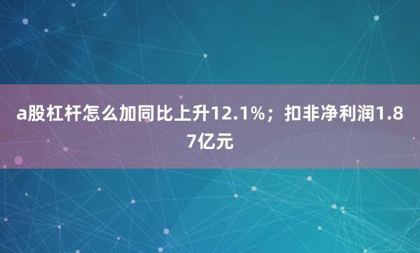 a股杠杆怎么加同比上升12.1%；扣非净利润1.87亿元