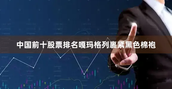 中国前十股票排名嘎玛格列裹紧黑色棉袍
