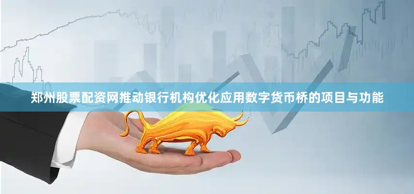 郑州股票配资网推动银行机构优化应用数字货币桥的项目与功能